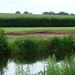 <16th GREEN