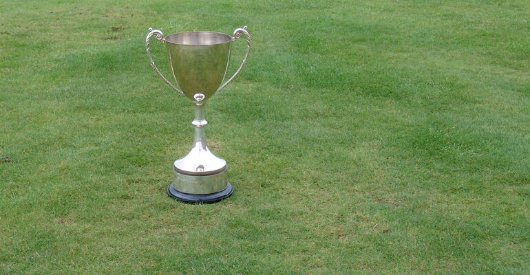 The Warwickshire Cup