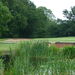<17th GREEN